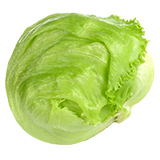 lechuga iceberg