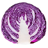 lechuga iceberg