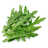 lechuga iceberg