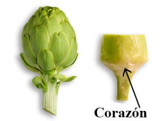 Imagen de paso