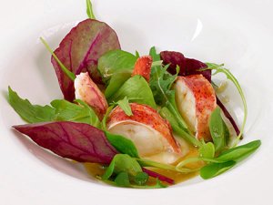 foto de presentacion