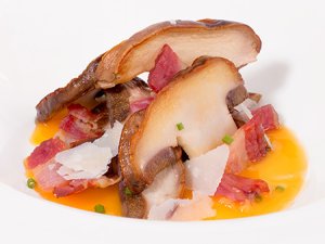 foto de presentacion