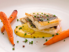 Foto de presentacion