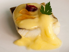 foto de presentacion