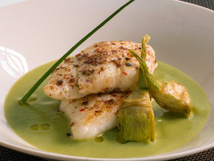 foto de presentacion