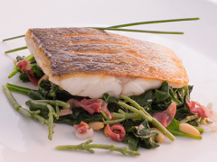 foto de presentacion