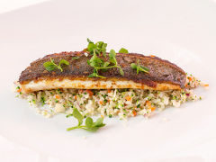 foto de presentacion