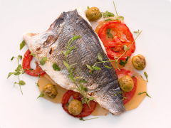 foto de presentacion